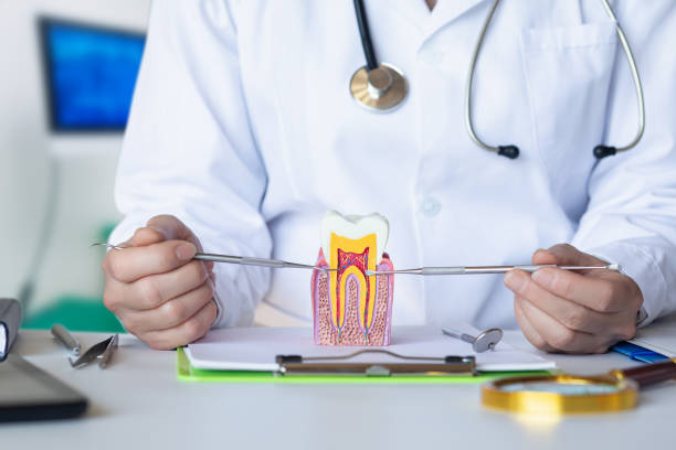 Best Emergency Treatment for Toothache in Sylvan Lake, MI